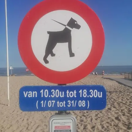 Apartamento Zee Zon En Zwem *
